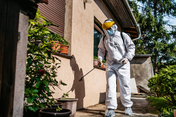 Best Mosquito Control Services  in Chackbay, LA