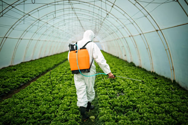 Best Best Pest Control Companies  in Chackbay, LA