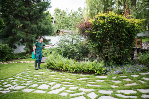 Best Best Pest Control Companies  in Chackbay, LA
