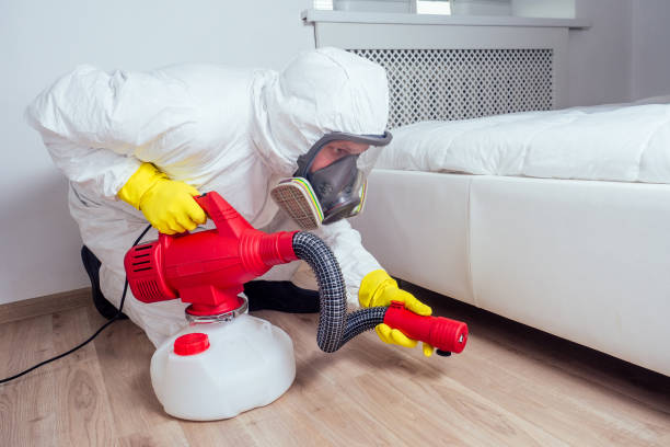 Best Best Pest Control Companies  in Chackbay, LA
