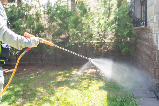 Best Affordable Pest Control Services  in Chackbay, LA