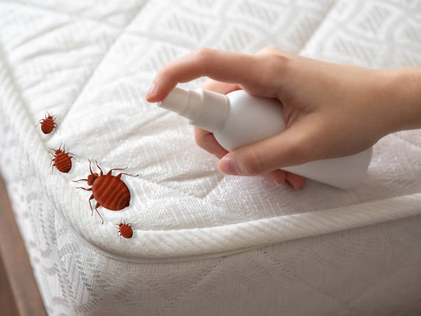 Insect Control in Chackbay, LA